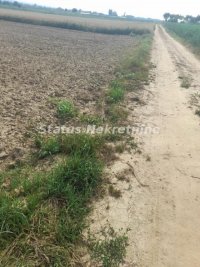 Nekretnina: Futog-Veliki Građevinski Plac 2588 m2 na Bregu-065/385 8880