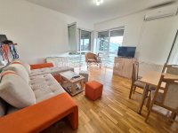 Nekretnina: LEPO NAMEŠTEN DVOSOBAN STAN 47M2 BULEVAR EVROPE 550EU, PET FRIENDLY