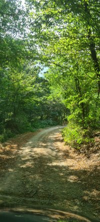 Nekretnina: Ljig, Kadina Luka, imanje