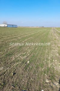 Nekretnina: Futog-*Ekskluziva*-Pogodna Građevinska Parcela 2583 m2 u komadu-065/385 8880