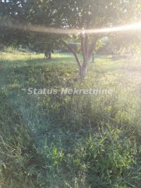 Nekretnina: Begeč-Uknjižen Lep Plac od 800 m2 sa Ruševnom kućom od 26 m2 u Zelenoj Oazi-065/385 8880