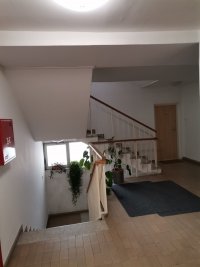 Nekretnina: VOZDOVAC Kostolacka ID: 107238