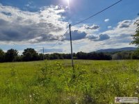 Nekretnina: Odlična investicija za vikend naselje, Mladenovac, Mala Vrbica