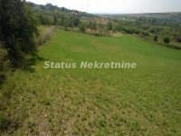 Nekretnina: Vrdnik-KOVAČEVAC-Veliki i Lep Plac 8233 m2 sa Pogledom na Pola Srema-065/385 8880