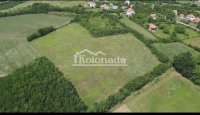 Nekretnina: Gradjevinsko zemljište u Drlupi, Kosmaj, Sopot ID#5024