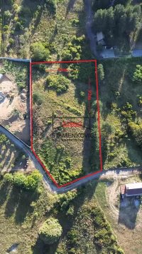 Nekretnina: Jedinstven Plac na Fruškoj Gori - Alibegovac - Široka Gudura ID#6619