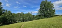 Nekretnina: Na prodaju plac-Zlatibor