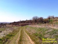 Nekretnina: Palilula, Višnjica - Potes Vinogradi, plac 19.957ari