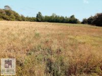 Nekretnina: Građevinski plac 72 ara, Obrenovac-Draževac 39000 €