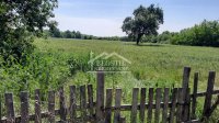 Nekretnina: Obrenovac - Dren - imanje 2,8ha ID#22454