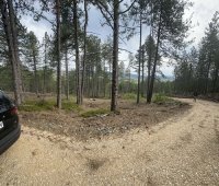 Nekretnina: Na prodaju zemljiste ukupne povrsine 80 ari, Tometino polje - Divčibare