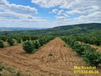 Nekretnina: Mladenovac, Kosmaj - Oglavci, plac 9ha