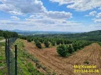 Nekretnina: Mladenovac, Kosmaj - Oglavci, plac 9ha