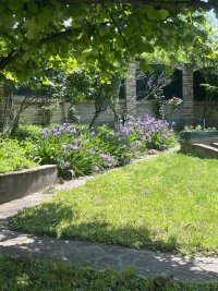 Nekretnina: Izuzetna kuca u Zvezdarskoj sumi na 20 ari placa