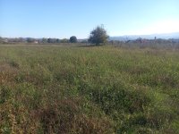 Nekretnina: Na prodaju plac u Novom Selu, Vrnjačka Banja