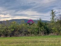 Nekretnina: Kosmaj, plac 11.72 ara, ostalo građevinsko zemljište u svojini ID#1432