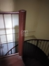 Nekretnina: Lokal P=40m2+30m2 magacin-Palilula ID#2190