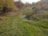 Nekretnina: Plac P=16.5ari - Vinik ID#2183