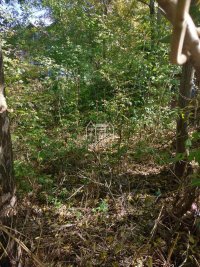 Nekretnina: Na prodaju plac u Niskoj Banju ID#2173