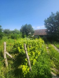 Nekretnina: Plac na Fruškoj gori - Banstol ID#1479