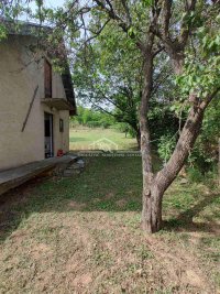 Nekretnina: Plac na Fruškoj gori - Banstol ID#1479