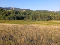 Nekretnina: Prodajem plac Zlatibor-Tornik