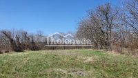 Nekretnina: Plac u Babama, Kosmaj, Sopot ID#3925