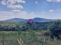 Nekretnina: Aranđelovac, Partizani, 74 ara, uknjižena parcela pored asfaltnog puta ID#1496