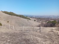 Nekretnina: Prodajem placeve Divcibare-Tometovo polje