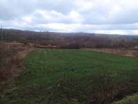 Nekretnina: Hektar građevinskog zemljišta, Avala