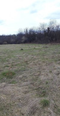 Nekretnina: Prodajem placeve na Ravnoj Gori