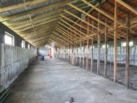 Nekretnina: Barajevo-Boždarevac, plac 40a, višenamenska hala površine 495m2 ID#5427