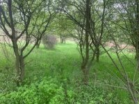 Nekretnina: Plac Vlaska,Mladenovac,33.58ari