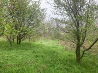 Nekretnina: Plac Vlaska,Mladenovac,33.58ari