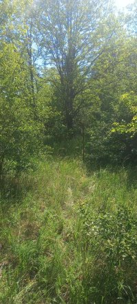 Nekretnina: Plac 20ari,Devojacki Bunar