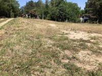 Nekretnina: Plac do glavnog puta,blizu Dunava,Usije-Golubac
