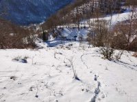 Nekretnina: Gradjevinsko zemljiste u selu Crni Vrh na Babinom Zubu