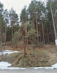 Nekretnina: Plac na prodaju Zlatibor-Vodice