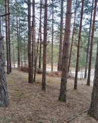 Nekretnina: Plac na prodaju Zlatibor-Vodice