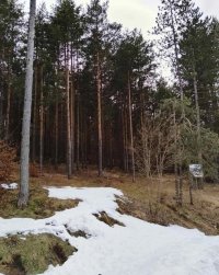Nekretnina: Plac na prodaju Zlatibor-Vodice