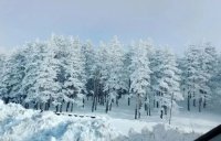 Nekretnina: Plac na prodaju Zlatibor-Vodice