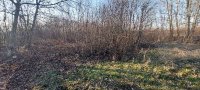 Nekretnina: Prodajem plac u Lipama kod Smedereva