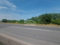 Nekretnina: Smederevo - Industrijska zona - 81,35 ari ID#24347