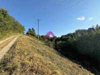 Nekretnina: Beška, građevinsko zemljište, 2 placa 16,66 ari ID#1507