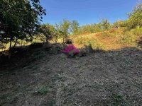 Nekretnina: Beška, građevinsko zemljište, 2 placa 16,66 ari ID#1507