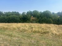 Nekretnina: Placevi za gradnju na Zlatiboru 1,2 km od Palisada