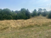 Nekretnina: Placevi za gradnju na Zlatiboru 1,2 km od Palisada