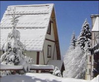 Nekretnina: Prodajem apartman na Kopaoniku,mirno mesto,divan pogled,dobra investicija