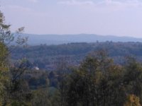 Nekretnina: Na prodaju plac (suma) u Sopotu