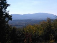 Nekretnina: Na prodaju plac (suma) u Sopotu